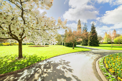 Bute Park