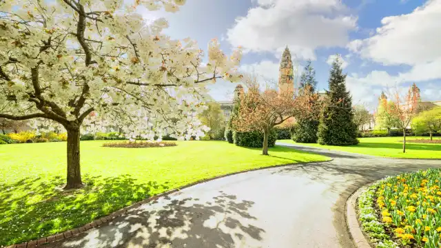 Bute Park