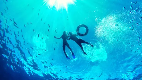 Boundary Islet Diving