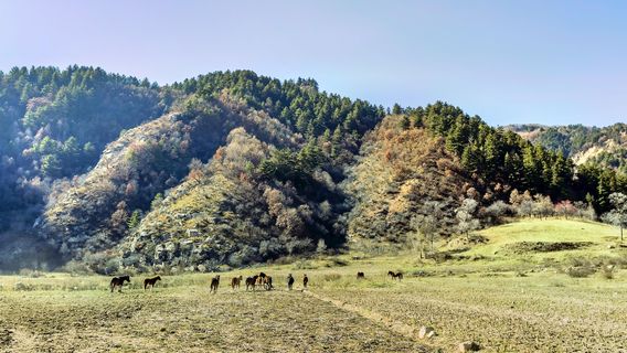 TaiyuanTours