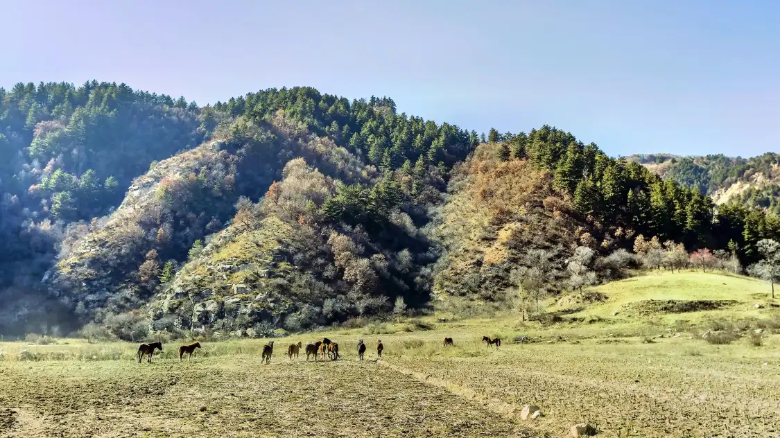 Hotels near Pangquan Groove