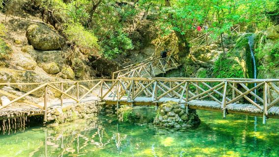 La vallée des papillons