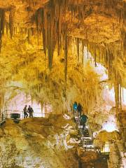 猛獁洞穴