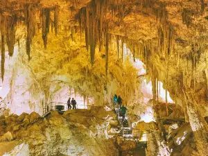 Mammoth Cave