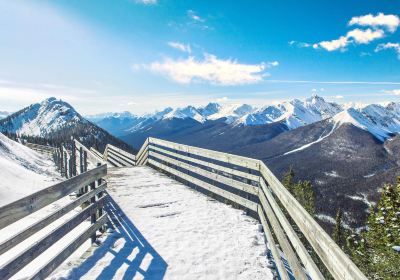 Sulphur Mountain