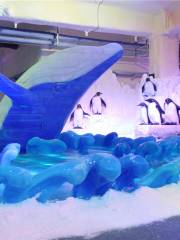 Changzhou Antarctic Ice and Snow Park