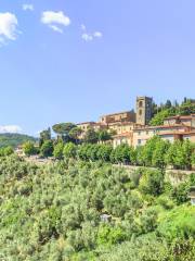 Montecatini Terme Pitoia