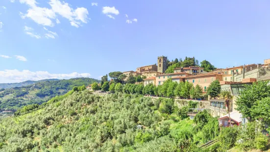 Montecatini Terme Pitoia