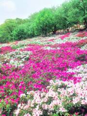 西山公園