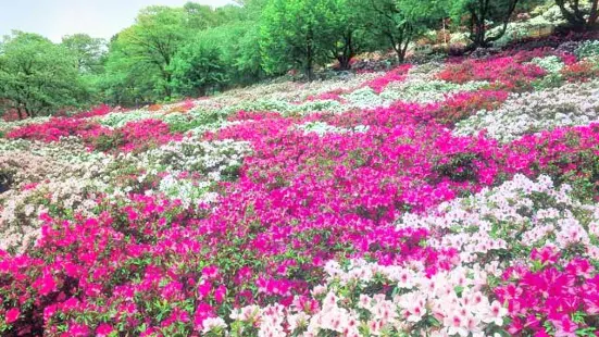 西山公園