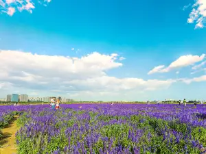 Genghis Khan Grassland Ecological Park