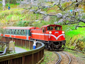 阿里山森林鉄路車庫園区