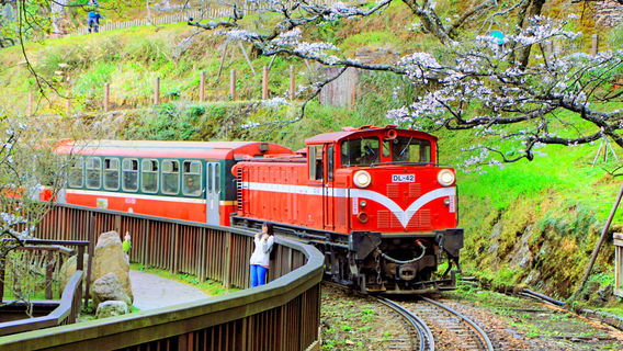 Alishan Forest Railway Garage Park