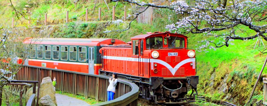 台湾嘉义旅游景点攻略懒人包:阿里山的姑娘美如画、阿里山的少年壮如山 台湾嘉义旅游景点攻略懒人包:阿里山的姑娘美如画、阿里山的少年壮如山