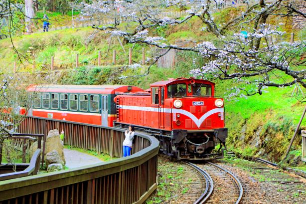Alishan Forest Railway Garage Park