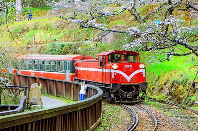 Alishan Forest Railway Garage Park