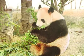 Su Zhou Wildlife Zoo