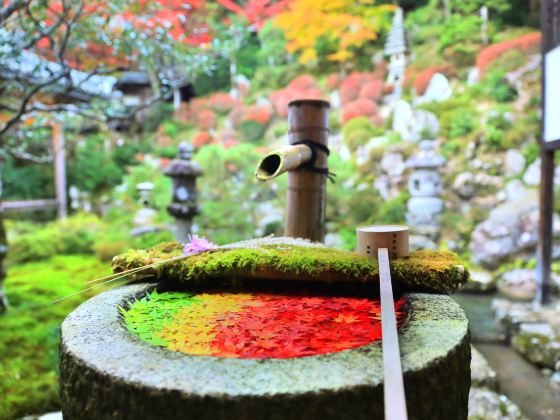 楊谷寺（柳谷観音）