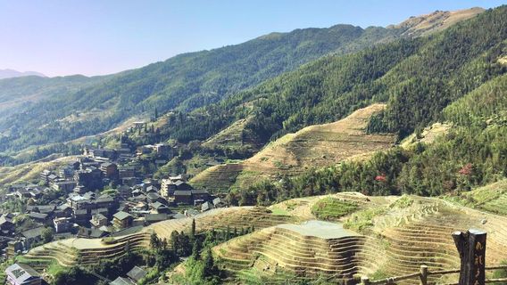 จุดชมวิวเกาลูนห้าเสือ