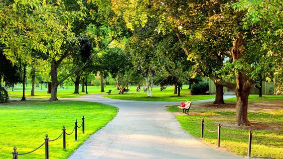 Бостон-Коммон