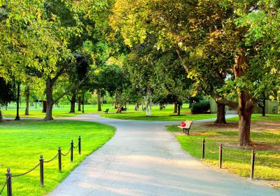 Boston Common