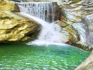 니우베이량 국가삼림공원