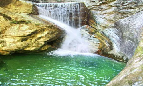 National Forest Park of Niubeiliang Shanxi