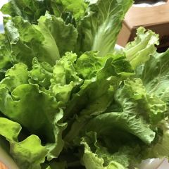 川渝部落·重庆火锅(解放南路店) User Photo