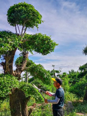 天潤珍稀植物博覽園