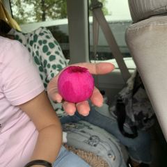 传统弥勒菜 User Photo