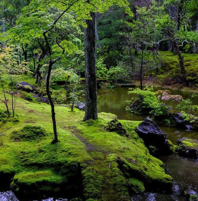 Saihoji Attractions Kyoto Travel Review 1 Juni travel Guide Trip Com