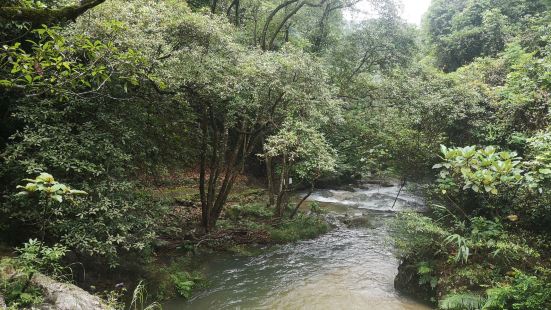 過來的時候突然轉暴雨，一路上都是山洪爆發的感覺，路也不好走，