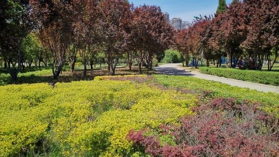 大東北燒烤必吃推薦 吉林德惠大東北燒烤 Trip Com