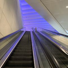 Wondertree User Photo