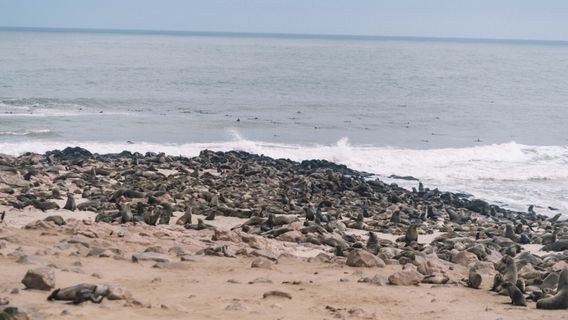Cape Cross