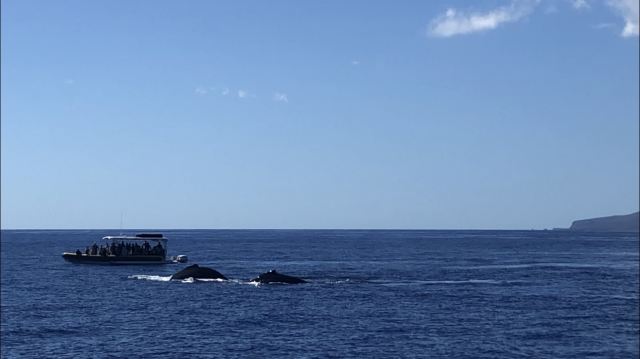 Lahaina