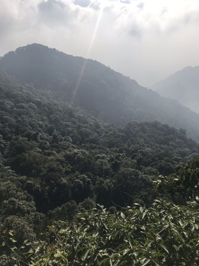 Ba Vi National Park