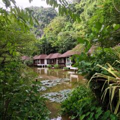 The Pomelo - The Banjaran Hotsprings Retreat User Photo