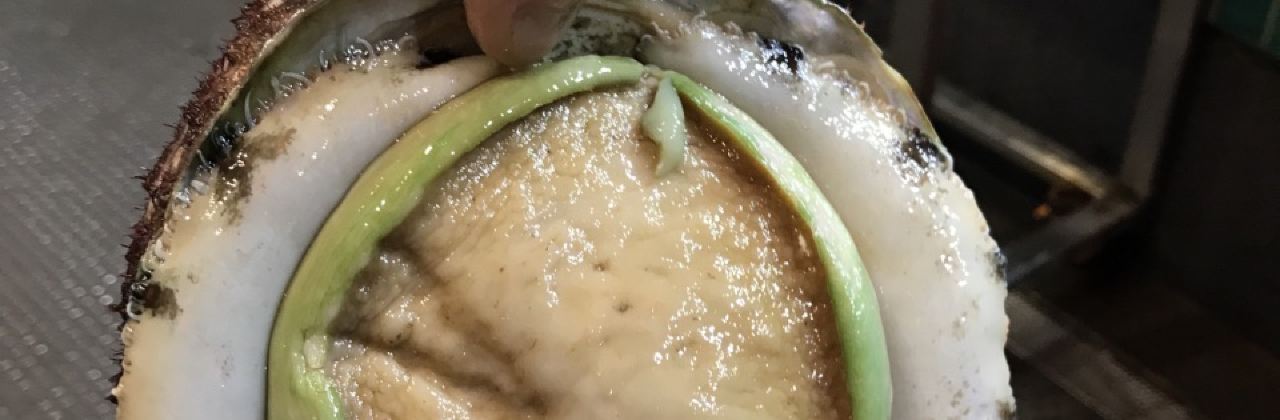 Wonton House Glen Waverley