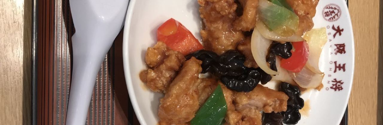 Osaka Osho Gushikawa Main City