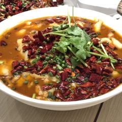 Mara daigaku User Photo