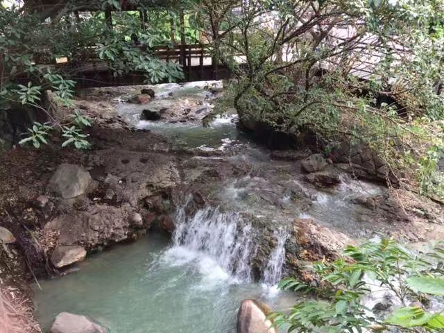 梅庭