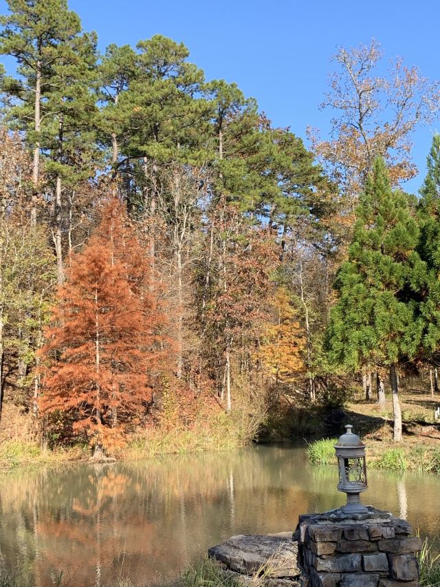Lake Catherine State Park