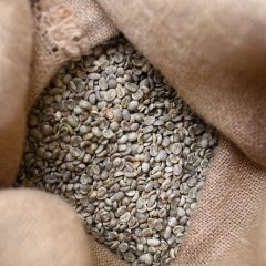 Otten Coffee 여행 사진