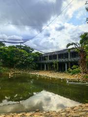 名護自然動植物園