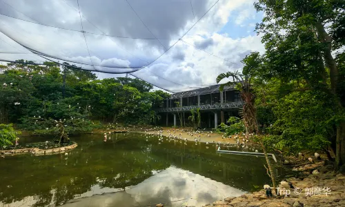 Neo Park Okinawa