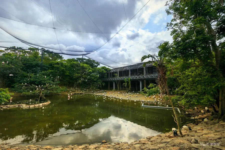 名護自然動植物園