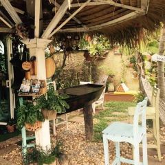 Turtle Bay x Sea Harmony Eco Cafe User Photo