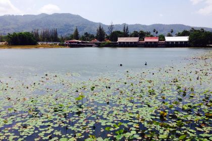 Don Vito Trattoria Wine Bar