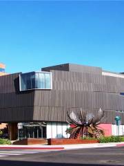 南內華達州藝術博物館